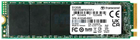 TS256GMTE670T